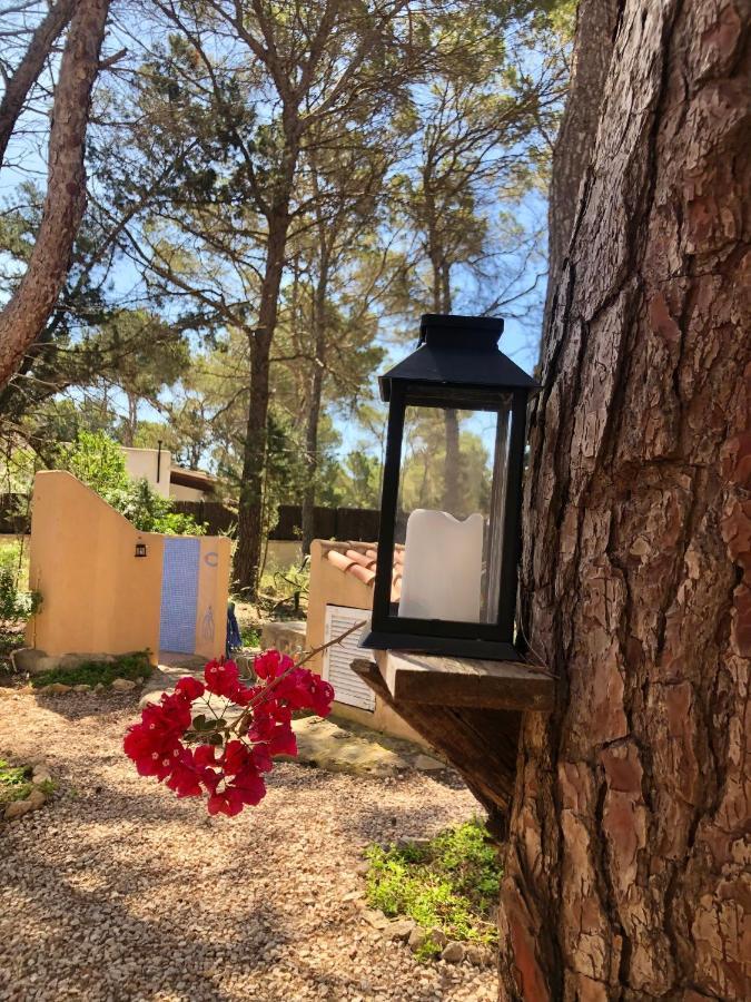 Apartamento Sa Ginebra, Cala Saona Εξωτερικό φωτογραφία