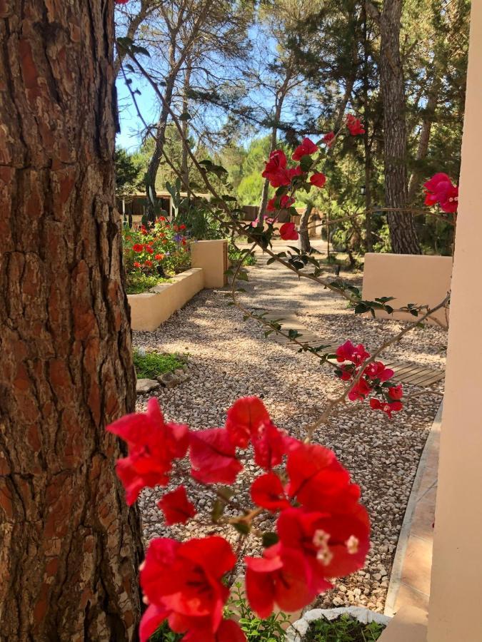 Apartamento Sa Ginebra, Cala Saona Εξωτερικό φωτογραφία